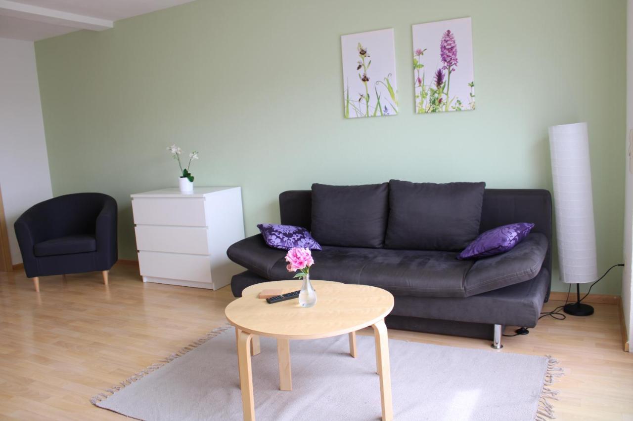 Appartement Winzerhof Senn à Vogtsburg im Kaiserstuhl Extérieur photo