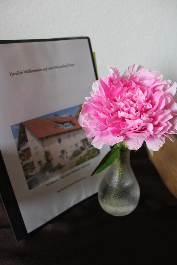 Appartement Winzerhof Senn à Vogtsburg im Kaiserstuhl Extérieur photo