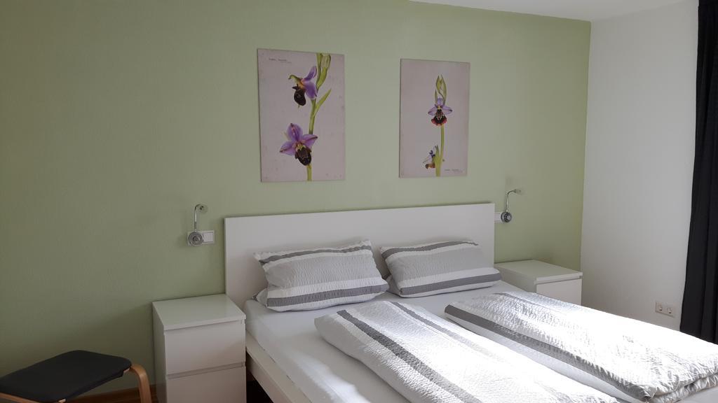 Appartement Winzerhof Senn à Vogtsburg im Kaiserstuhl Extérieur photo