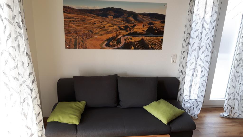 Appartement Winzerhof Senn à Vogtsburg im Kaiserstuhl Extérieur photo